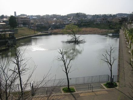 調整池